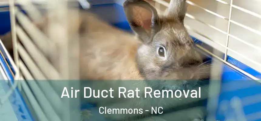  Air Duct Rat Removal Clemmons - NC