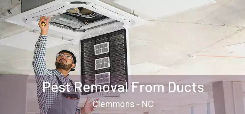  Pest Removal From Ducts Clemmons - NC