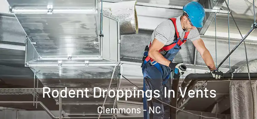  Rodent Droppings In Vents Clemmons - NC