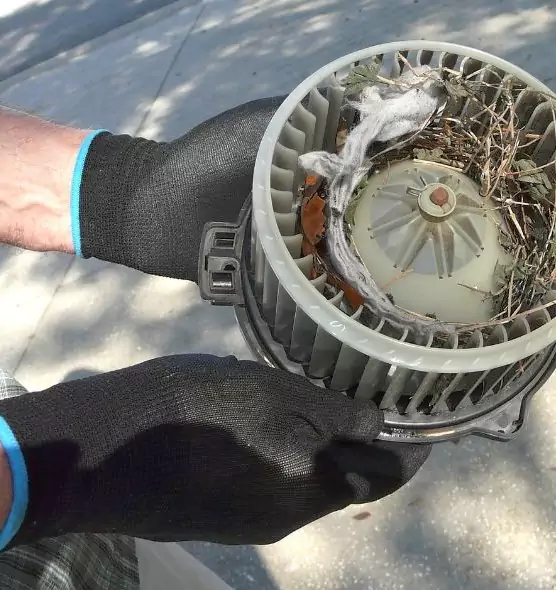 About Air Duct Rat Removal in Clemmons, NC